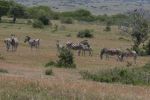 safrica10_image96.jpg